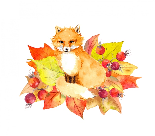 Leuke vos in de herfstbladeren en bessen. Aquarel label