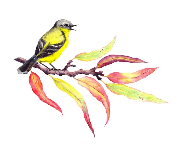 Leuke zangvogel op de herfsttakje met rode en gele bladeren. Waterverf