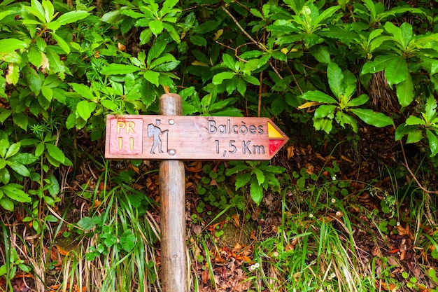 Levada irrigation channel at Madeira island