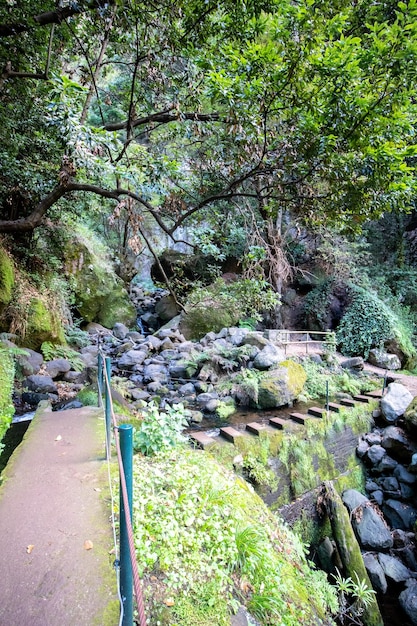 Levada Nova and Levada do Moinho hiking path in Madeira with green nature, waterfalls and tunnels