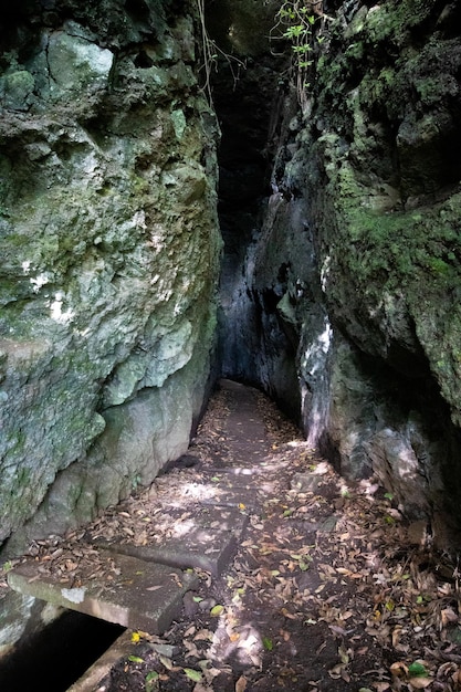 Levada wandelen op Madeira