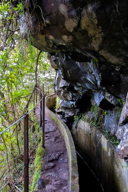 Levada wandelen op Madeira