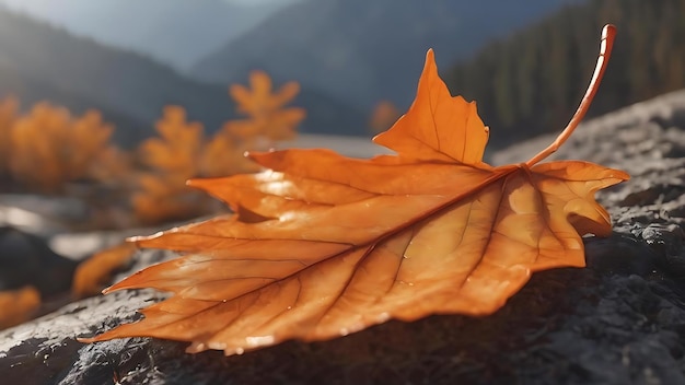 Levendig doorzichtig oranje herfstblad