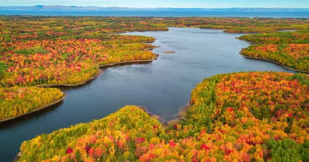 Levendige bomen en landschappen aan de oostkust van de Atlantische Oceaan Quebec Canada