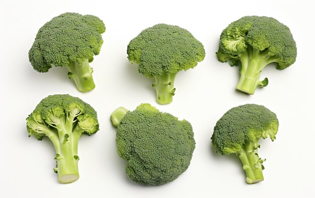 Levendige groene broccoli op witte achtergrond