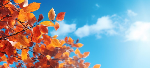 Levendige herfstboom met oranje bladeren tegen een heldere blauwe lucht Generatieve AI