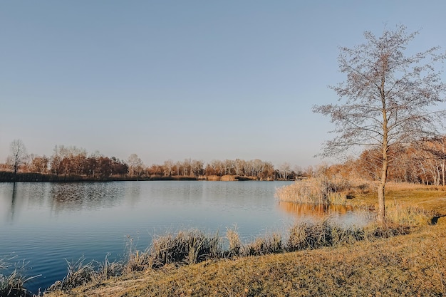 Levendige herfstdag. Herfst landschap over rivier met helder gras aan de wal. Schilderachtige natuur op heldere avond met kleurrijke lucht en water