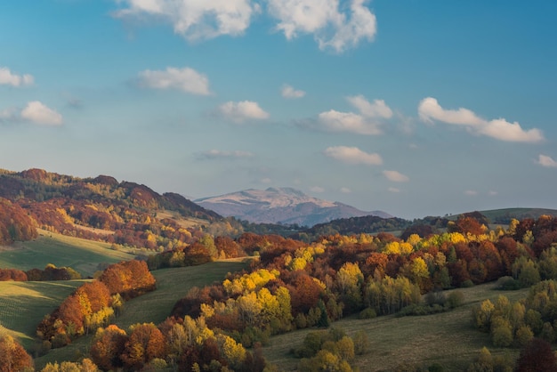 Levendige herfstkleuren in de wildernis van de KarpatenBieszczadyPolen