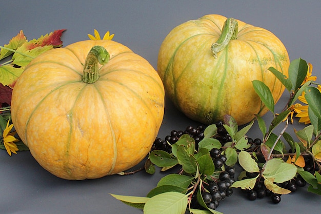 Levendige oranje pompoen kastanjes droge herfstbladeren verspreid op grijze stenen achtergrond grens Frame Thanksgiving val overvloed Concept plat lag kopie ruimte