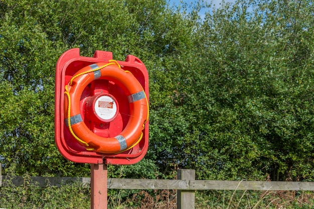 Foto levensgordel tegen bomen