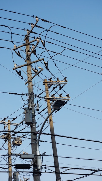 Levering van elektrische paal met blauwe hemel