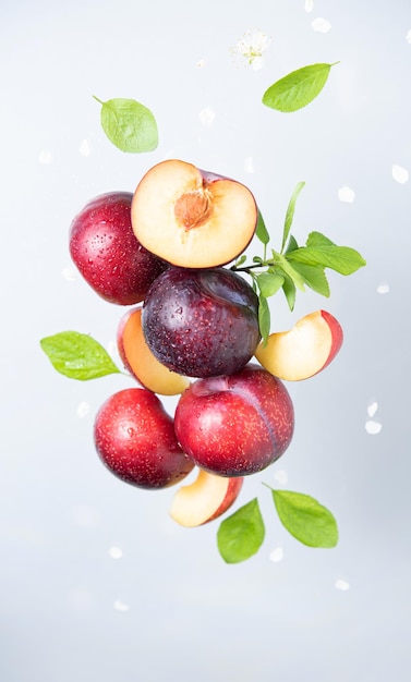 Levitation concept flat lay with  juicy red plums with green leaves on a gray  background. Front  view image