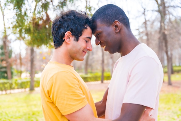 Lgbt-concept paar multi-etnische mannen in een park in een romantische pose onder een boom met hun voorhoofd gesloten