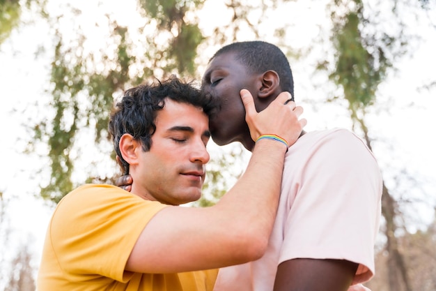 Lgbt-concept paar multi-etnische mannen in een park kussen elkaar op het voorhoofd romantische pose