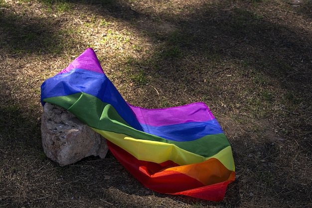 LGBT flag in the field. Pride. Freedom concept