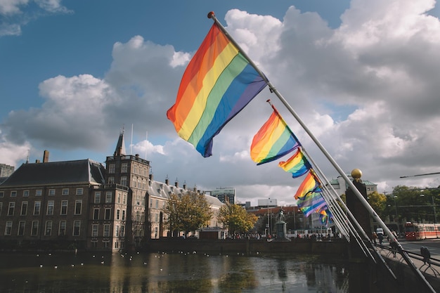 헤이그의 LGBT 깃발
