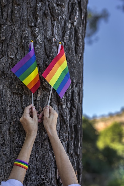 LGBT-vlag in het veld. Trots. Vrijheidsconcept