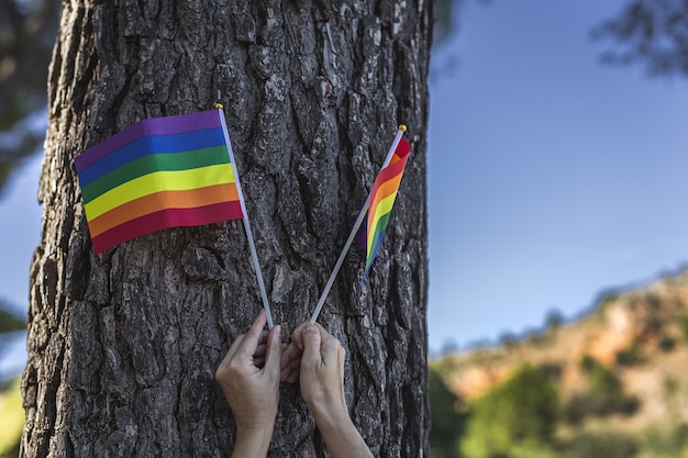 LGBT-vlag in het veld. Trots. Vrijheidsconcept