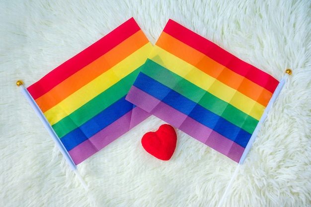 LGBTQ Rainbow flag 