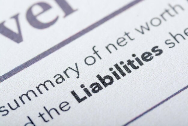 Photo liabilities are financial obligations or debts that a person or entity owes to others