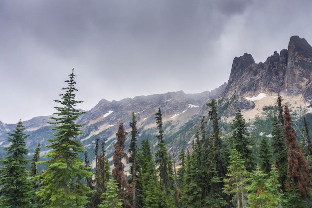 Liberty Bell-berg in de staat North Cascades Washington