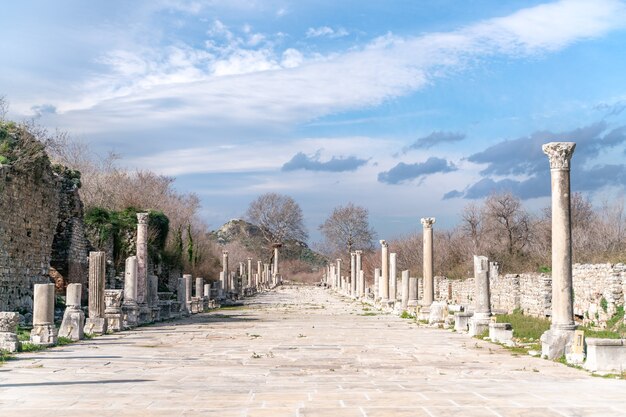 エフェソストルコの古代都市にあるケルスス図書館エフェソスはユネスコの世界遺産に登録されています