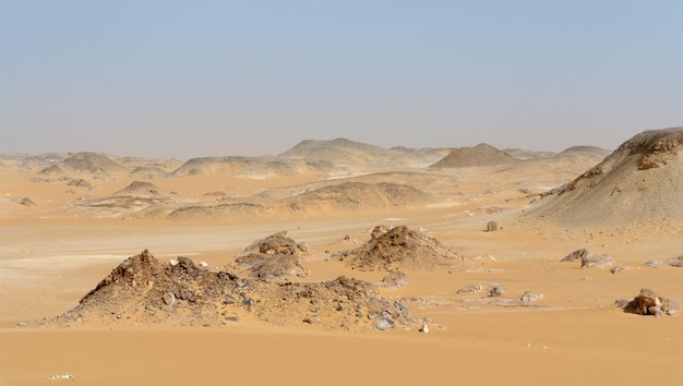 Libyan Desert