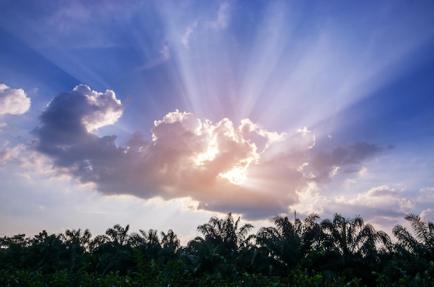 Licht van god met wolk hemel zonlicht achtergrond