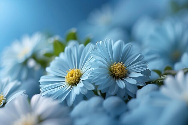 lichtblauwe achtergrond met prachtige bloemen