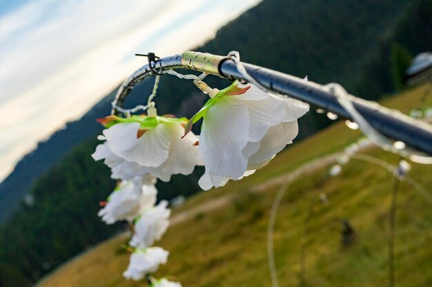 Foto lichtdecoratie hangend aan een draad, buiten in de bergen, regenachtige dag, 2021