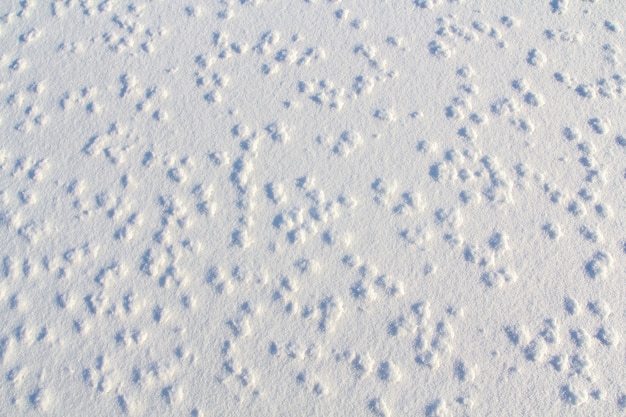 Foto lichte, witte, abstracte sneeuwachtergrond