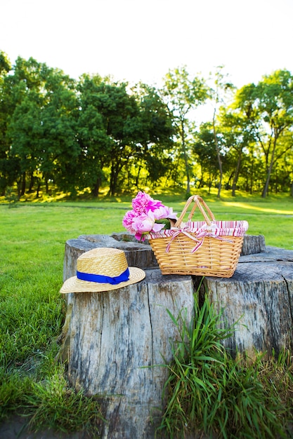 Lichte zomerpicknick