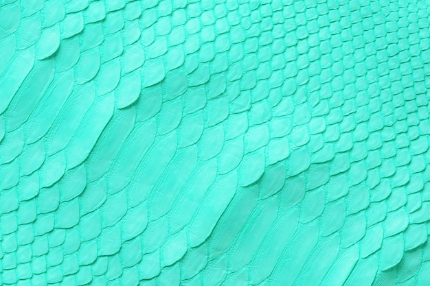 Lichtgroene slangenhuid textuur turquoise lederen achtergrond