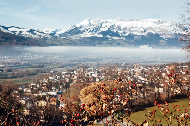 Liechtenstein bergen landschap