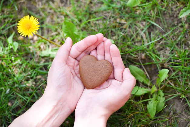 Liefde en Valentijnsdag concept. man hand in vorm van hart op groen gras veld achtergrond