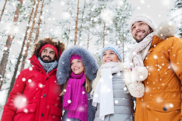 liefde, relatie, seizoen, vriendschap en mensenconcept - groep glimlachende mannen en vrouwen die in het winterbos lopen