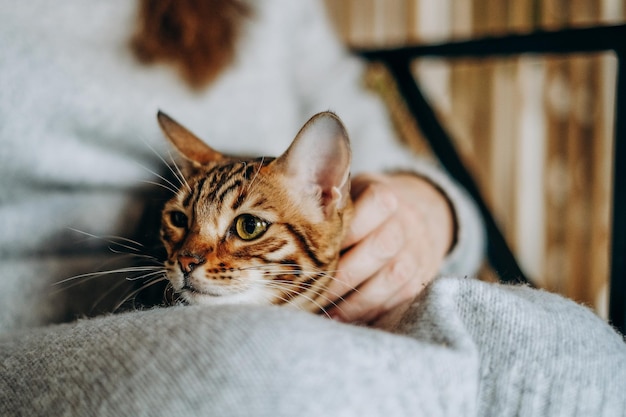 Liefde voor katten een vrouw zit thuis in een stoel en houdt haar geliefde bengaalse kat in haar armen