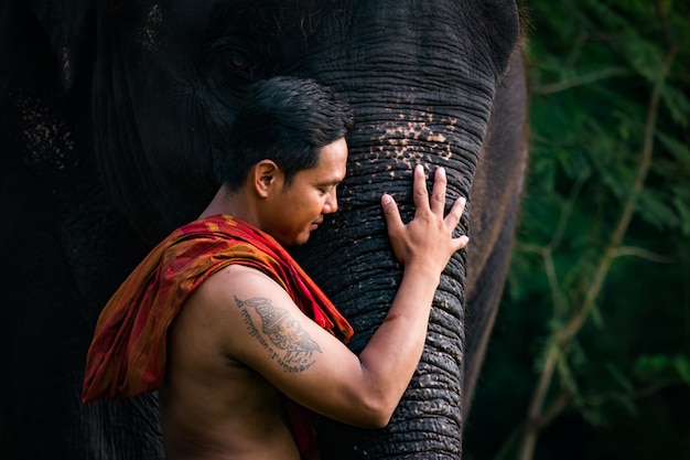 Liefde voor Mahout met zijn olifant, Thailand