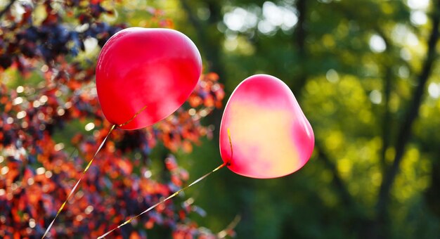 Liefdeshartballonnen, buitenshuis