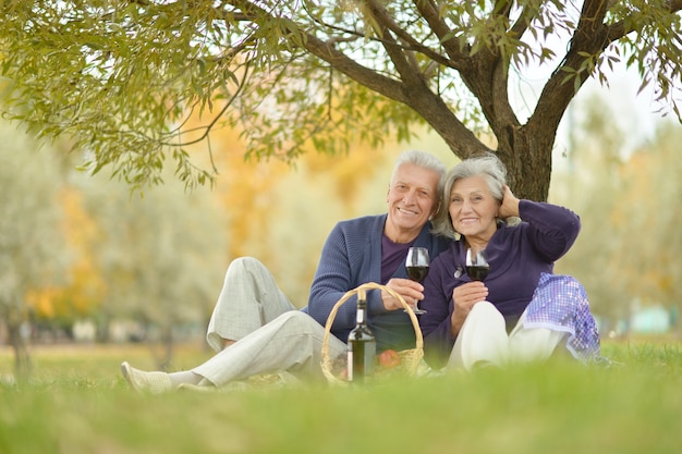 Liefdevol bejaarde echtpaar met een picknick in het park
