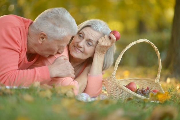 Liefdevol bejaarde echtpaar met een picknick in het park