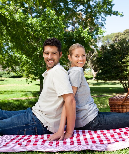 Liefhebbers die in het park picknicken