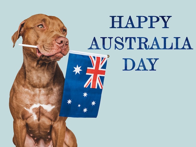 Lieve charmante puppy en Australische vlag close-up