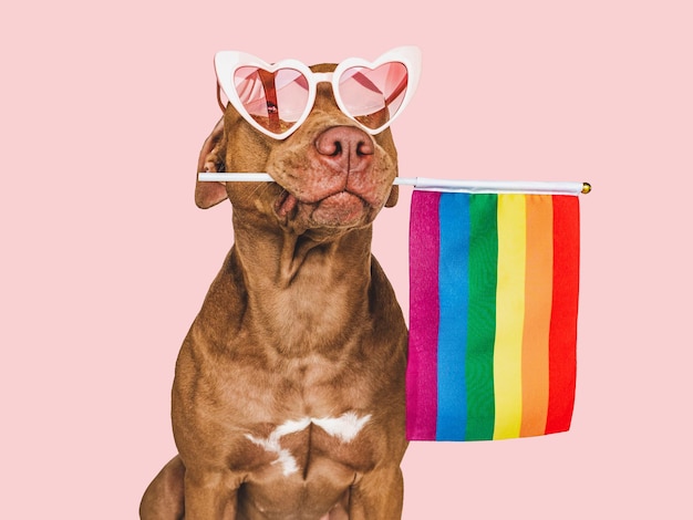 Lieve mooie hond en regenboogvlag close-up