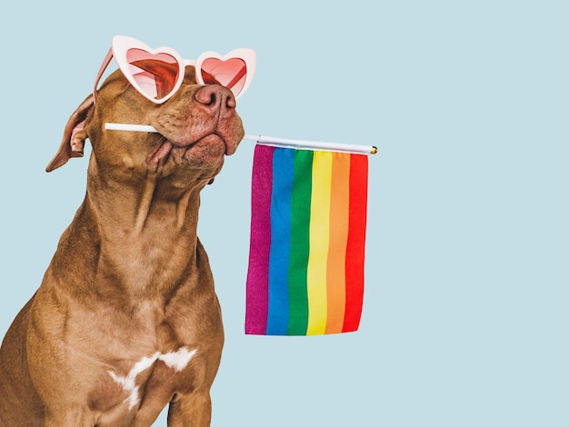 Lieve mooie hond en regenboogvlag close-up