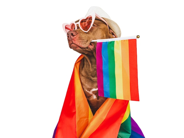 Foto lieve mooie hond en regenboogvlag close-up