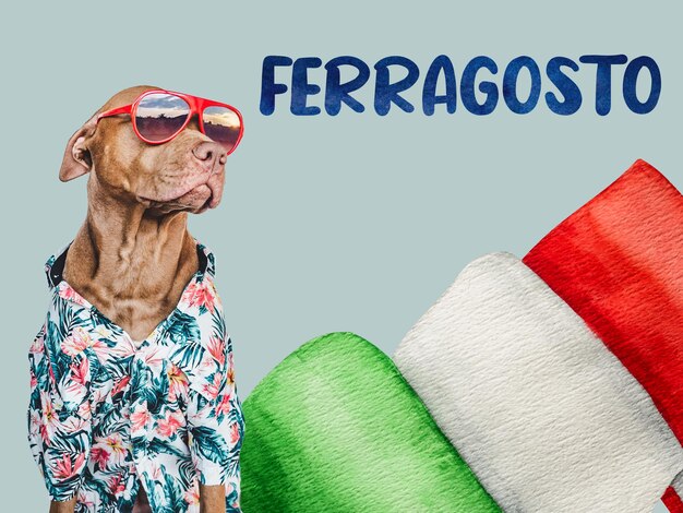 Lieve mooie hond en vlag van Italië