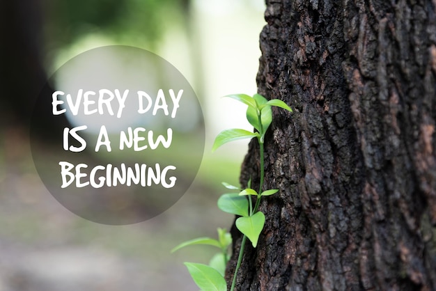 Life inspirational quotes everyday is a new beginning nature\
background