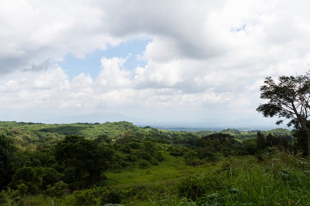 牧草地のあるメキシコの風景での生活