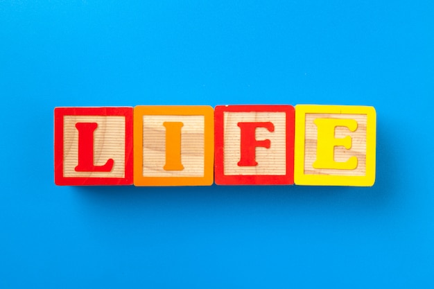 Life. Wooden colorful alphabet blocks 